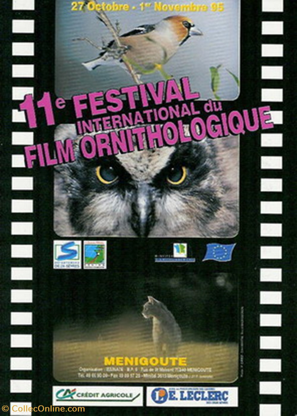 Ménigoutte Festival du film ornithologique 1995 cartes postales autres menigoutte festival du film ornithologique 1995