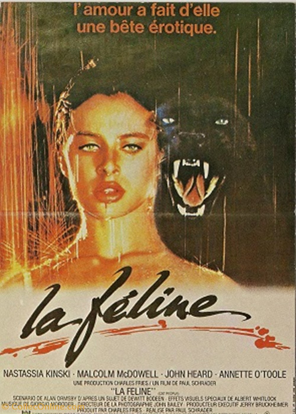 cartes postales autres la feline
