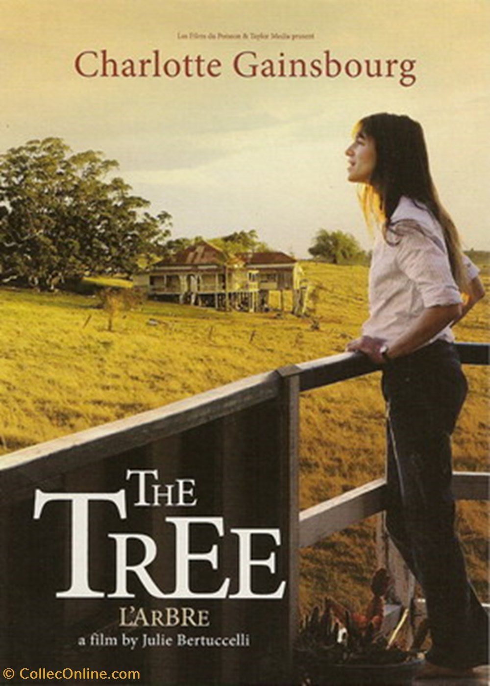 cartes postales autres the tree