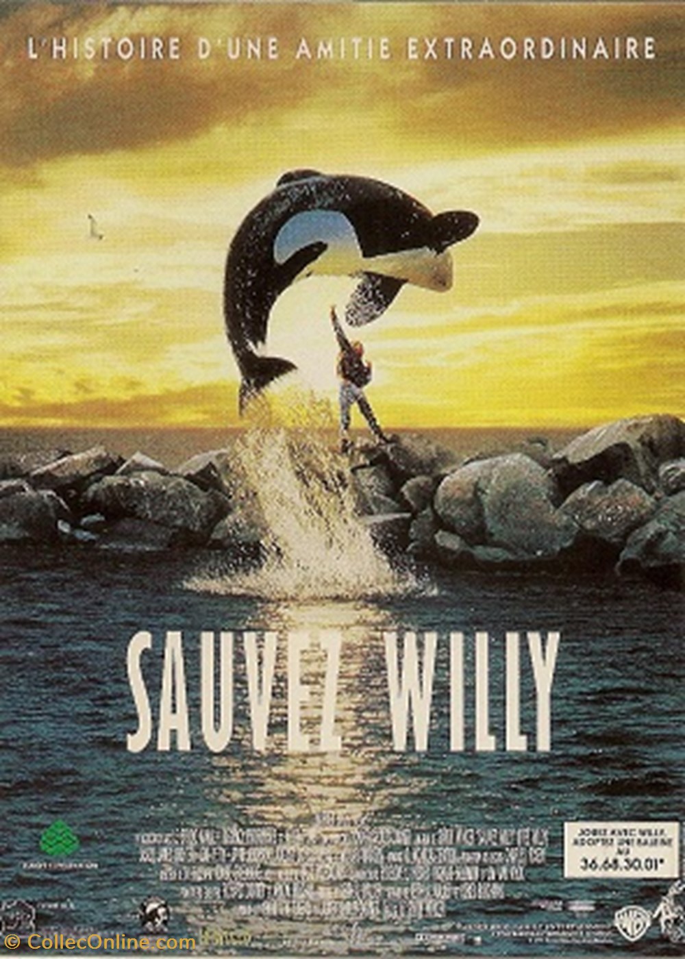 Sauvez Willy cartes postales autres sauvez willy
