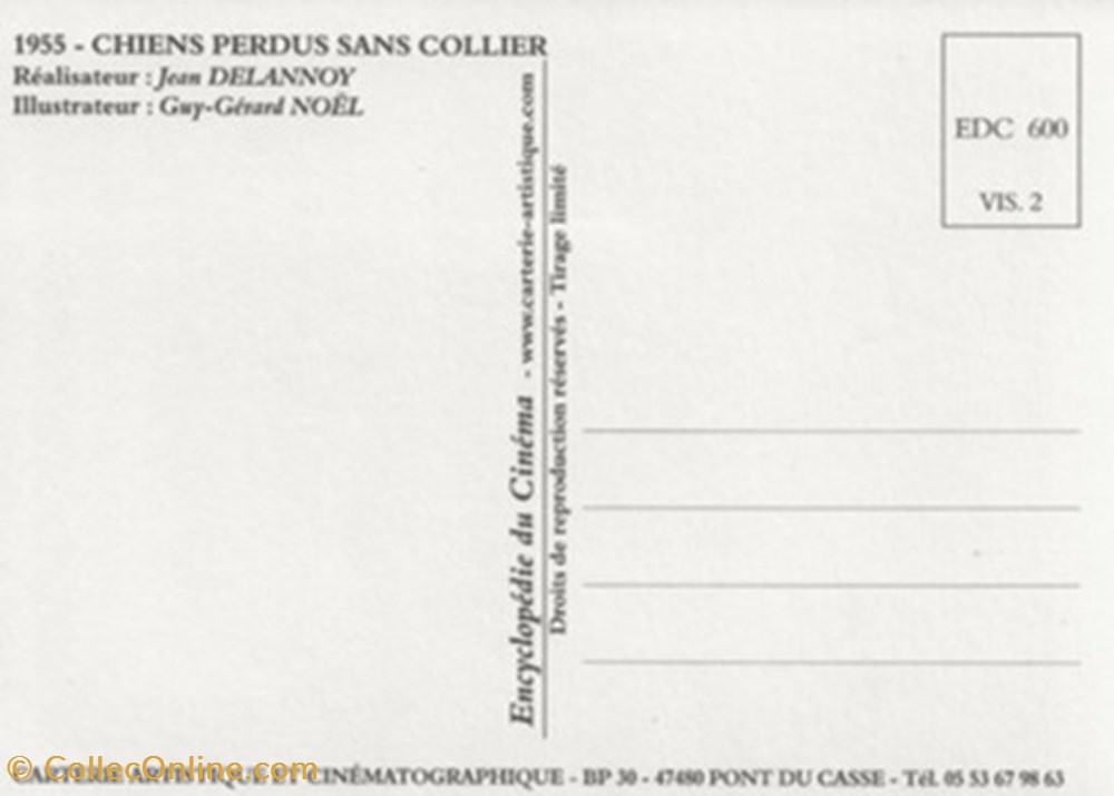 cartes postales autres chiens perdus sans collier