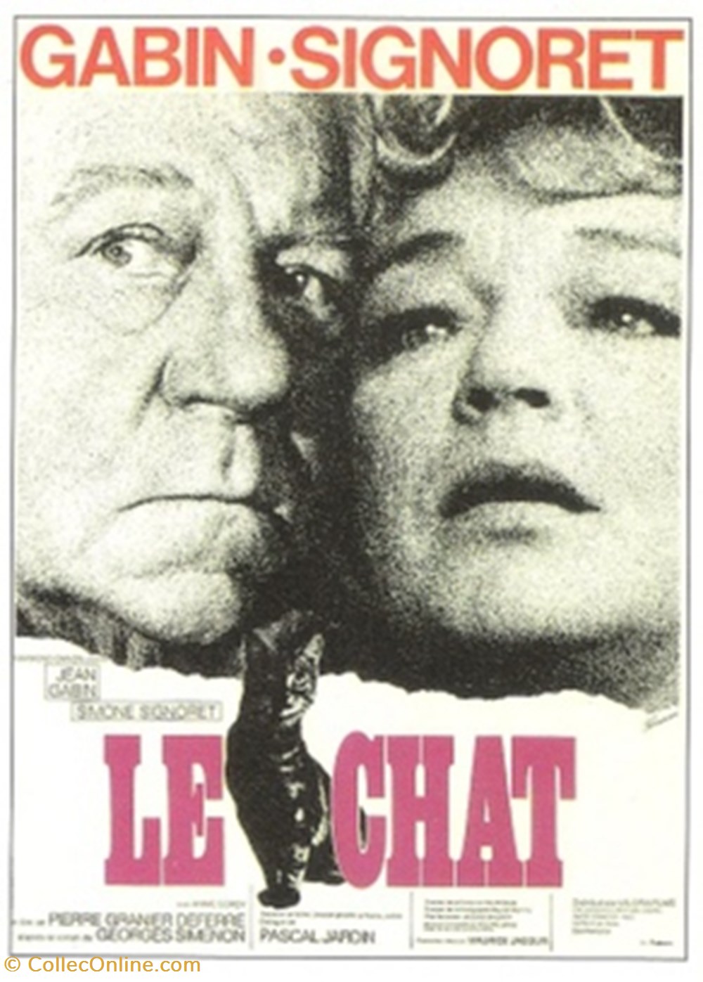 Le chat cartes postales autres le chat
