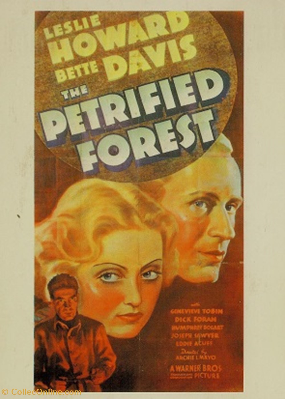 The petrified forest cartes postales autres the petrified forest