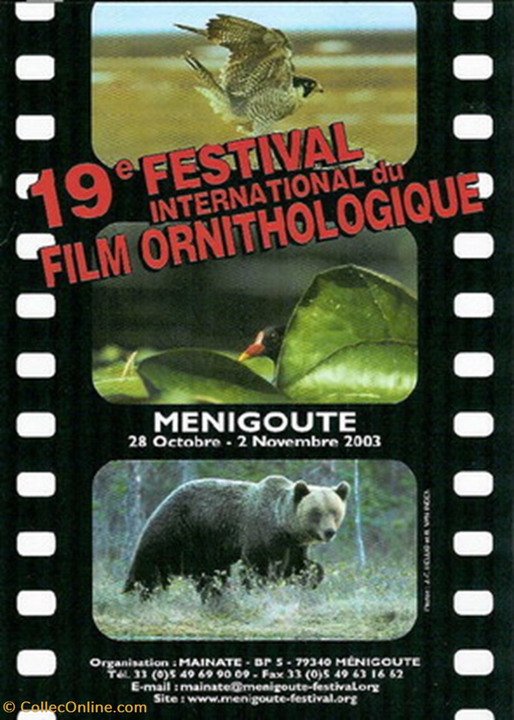 Ménigoutte Festival du film ornithologique 2003 cartes postales autres menigoutte festival du film ornithologique 2003