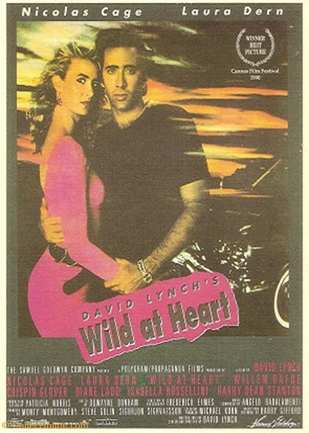 cartes postales autres wild at heart