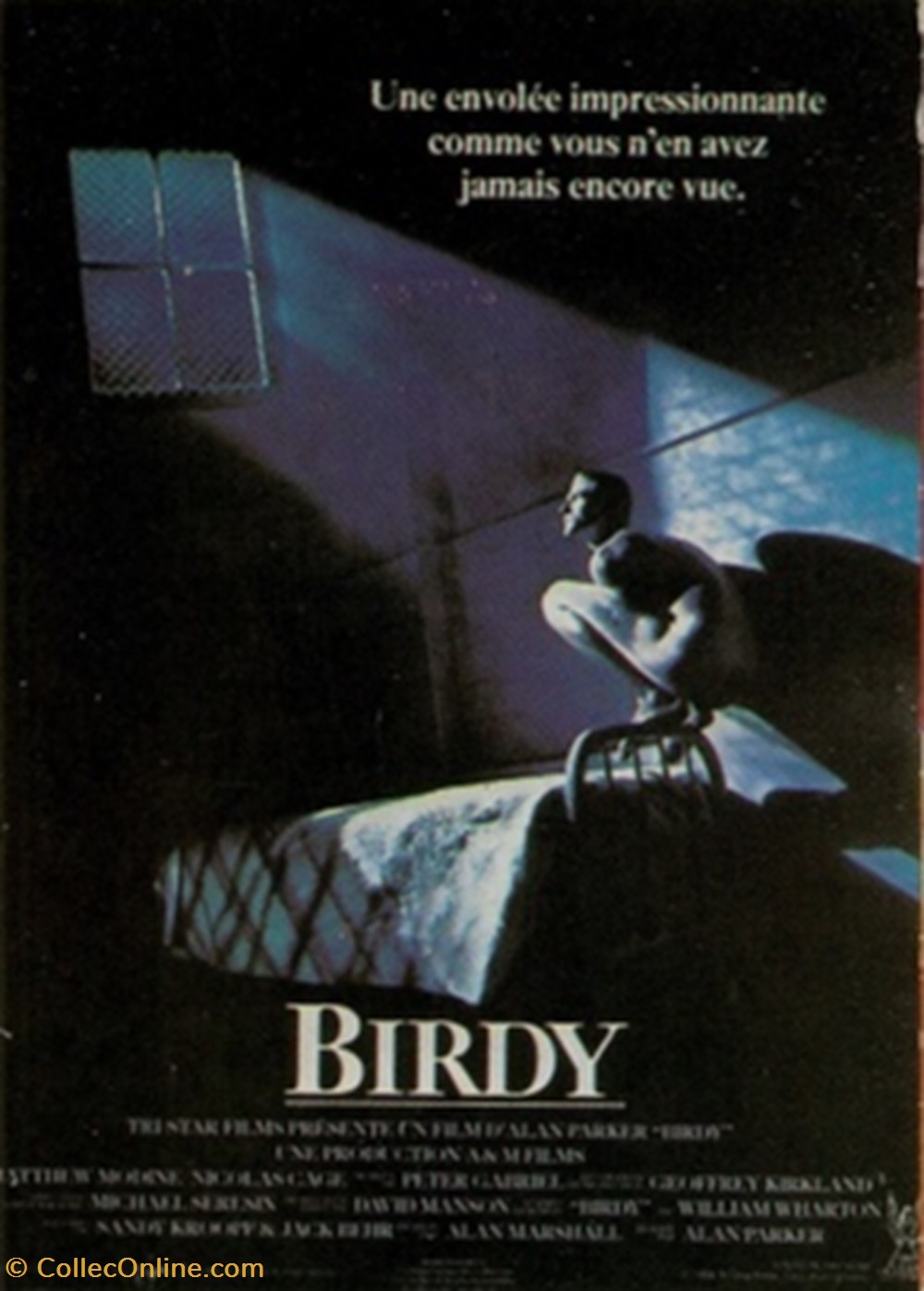 cartes postales autres birdy