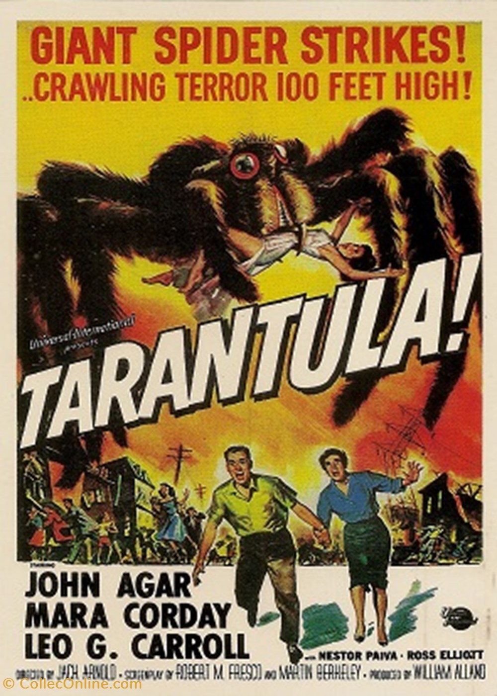 Tarantula cartes postales autres tarantula