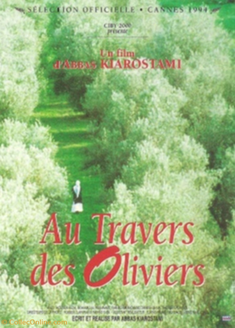 Au travers des oliviers cartes postales autres au travers des oliviers