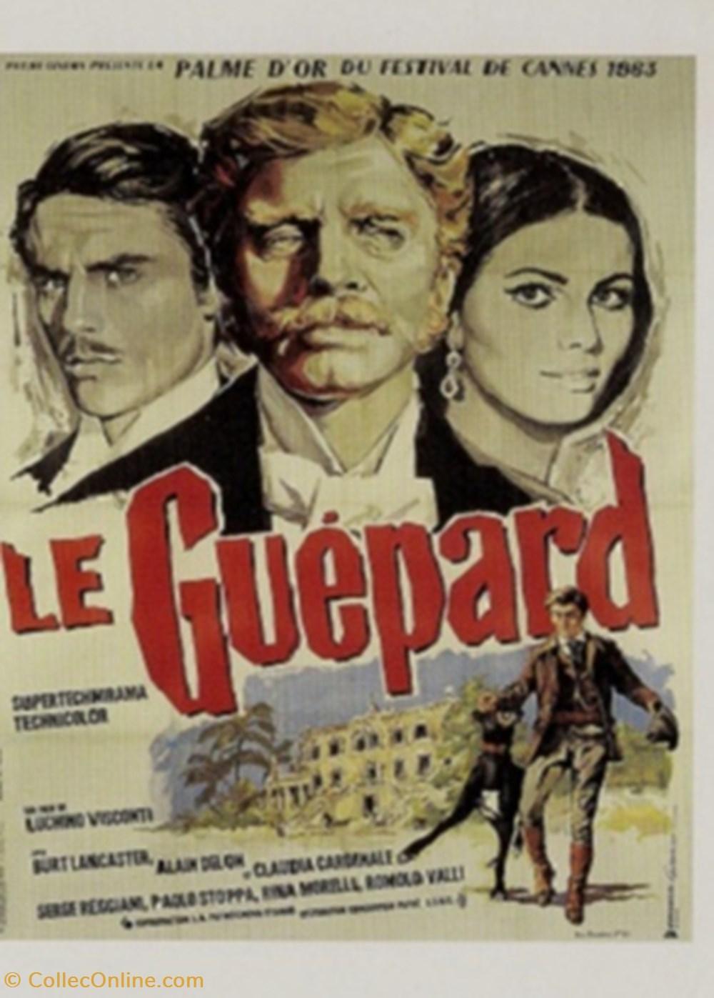 Le guépard cartes postales autres le guepard