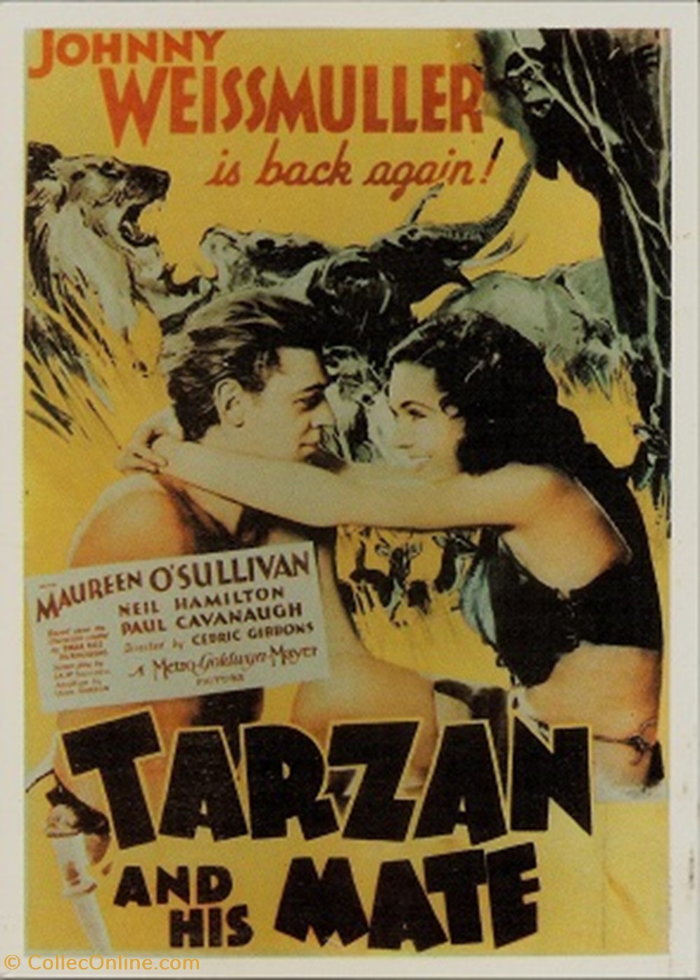 Tarzan and his mate cartes postales autres tarzan and his mate