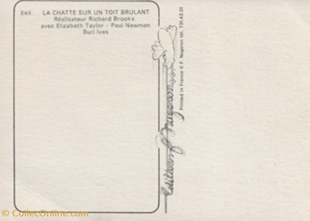 cartes postales autres la chatte sur un toit brulant
