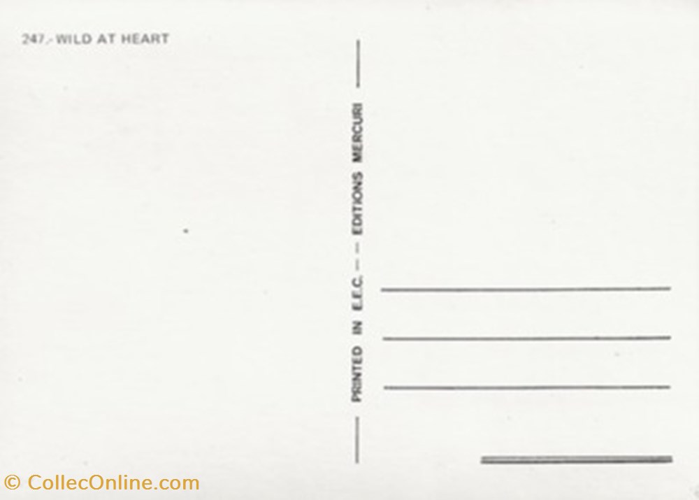 cartes postales autres wild at heart