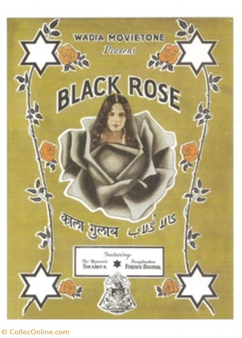 cartes postales autres black rose