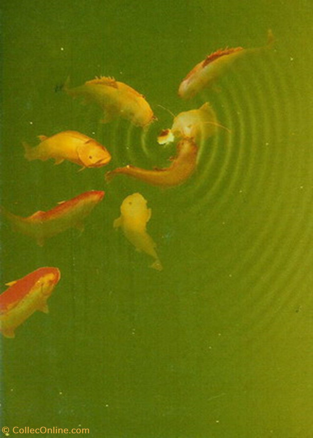 cartes postales autres nevers festival avis de chateau 2007