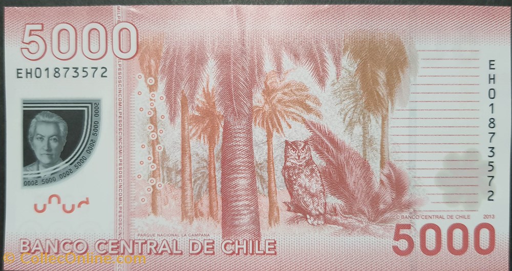 billets amerique du sud chili 5000 pesos 2013 polymere