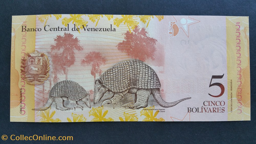 5 Bolivars 2014-Pedro Camejo billets amerique du sud venezuela 5 bolivars 2014 pedro camejo