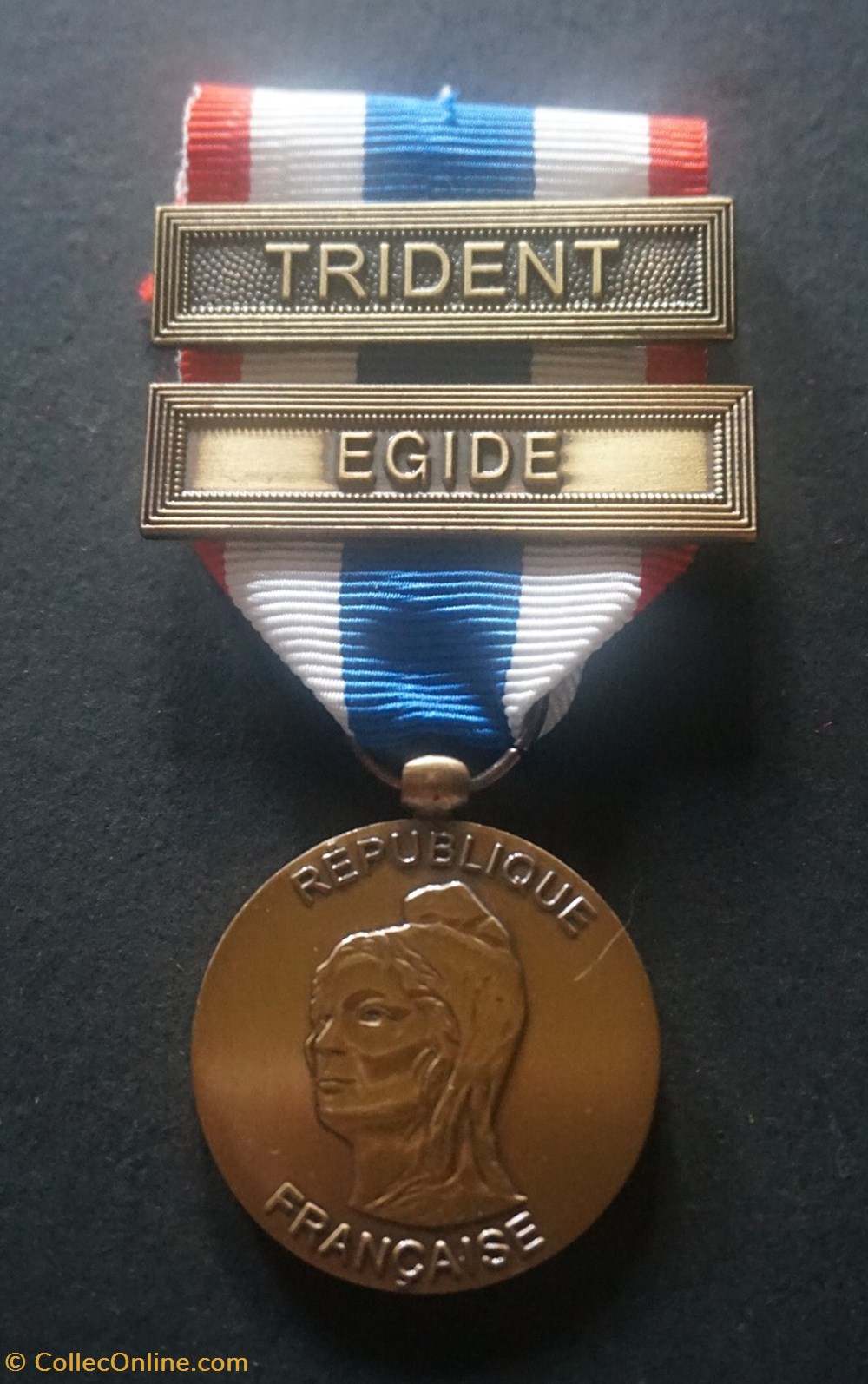 Médaille de la Protection Militaire du Territoire TRIDENT