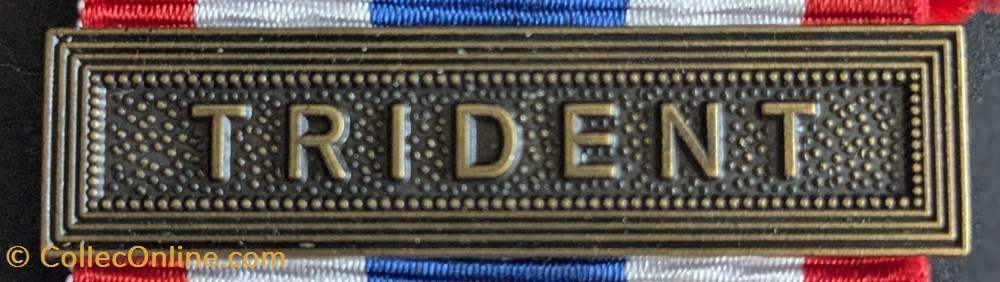 medailles france medaille de la protection militaire du territoire trident