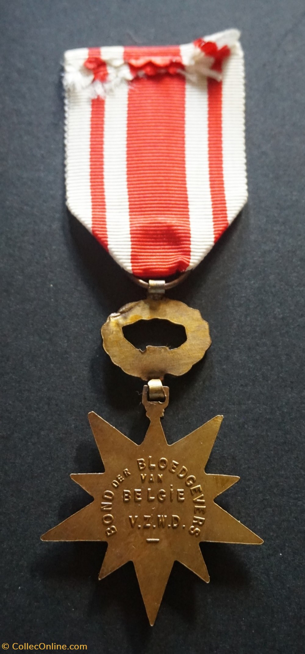 SAP - Médaille des lauriers du sang medailles belgique sap medaille des lauriers du sang