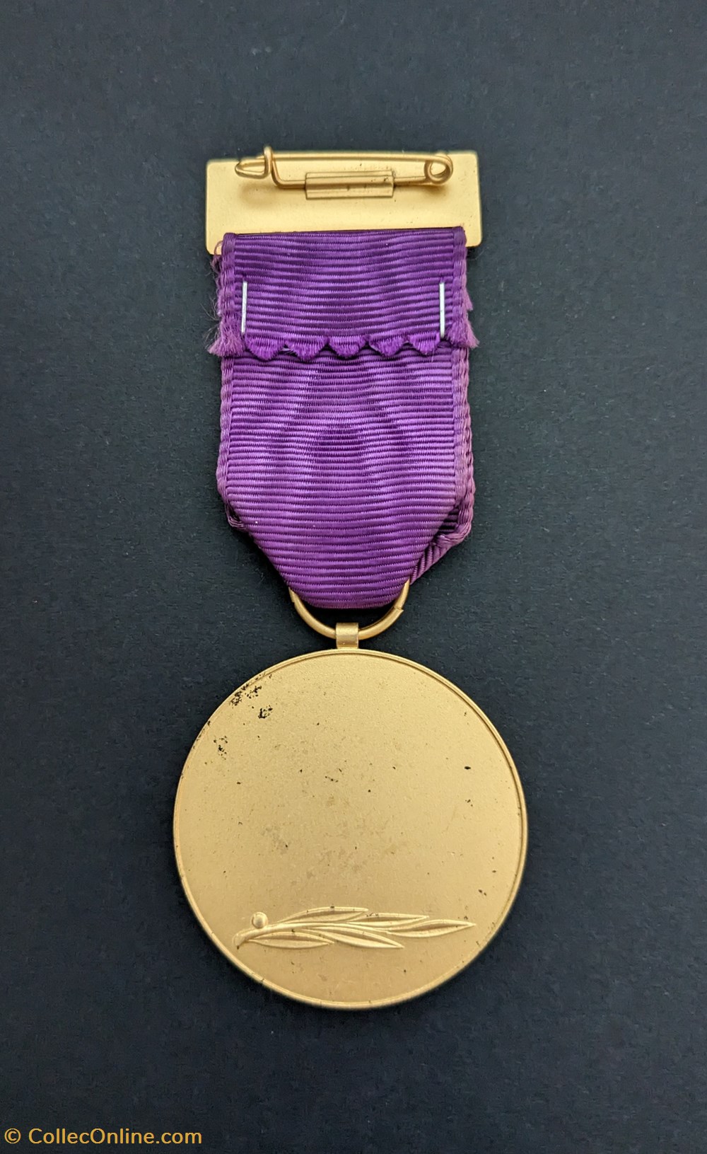 Médaille de l'association des carabines et pistolets de petit calibre du Hampshire medailles royaume uni medaille de association des carabines et pistolets de petit calibre du hampshire