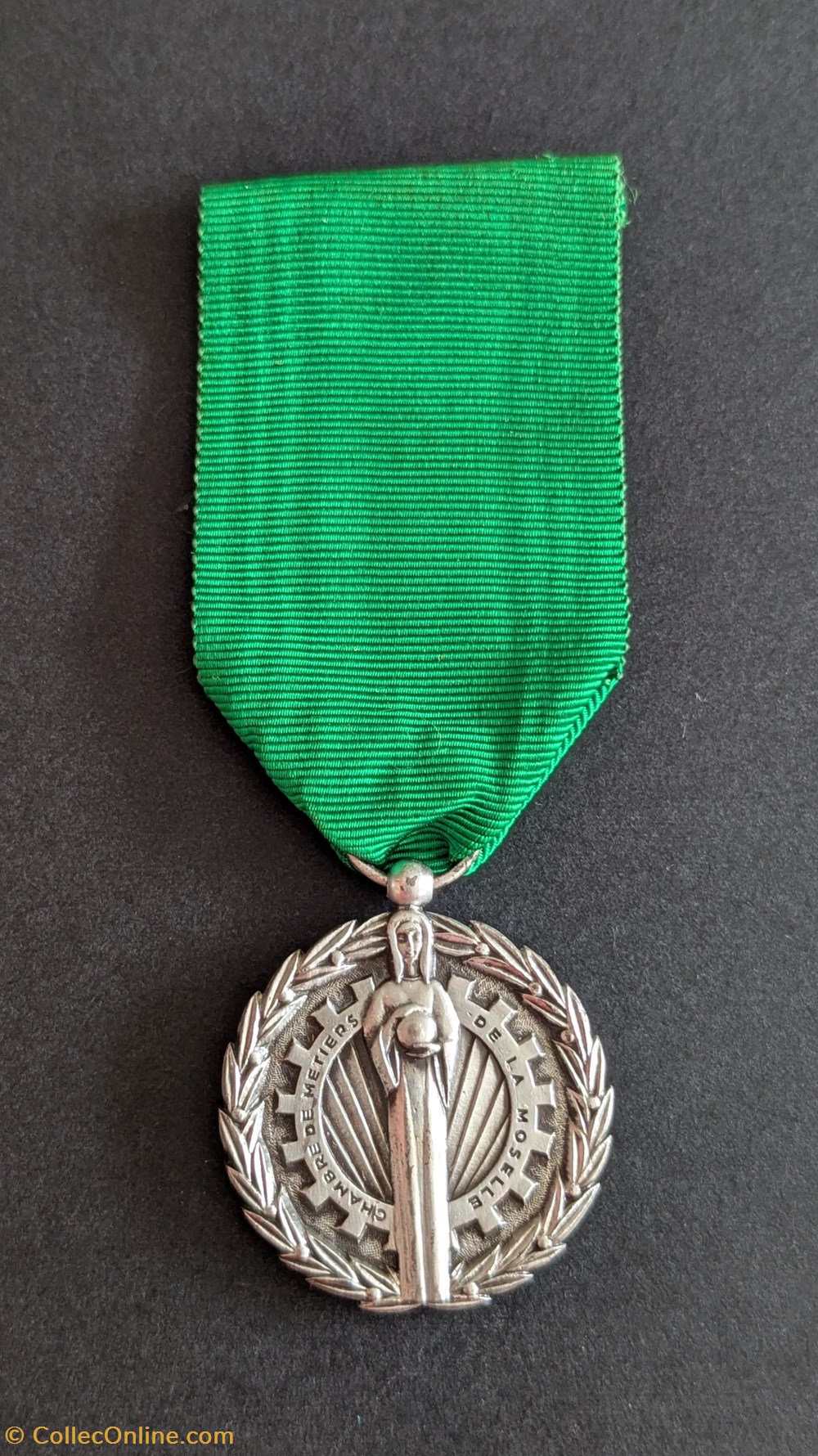 Médaille du mérite professionnel de la chambre des métiers et de l'artisanat de Moselle medailles france medaille du merite professionnel de la chambre des metiers et de artisanat de moselle