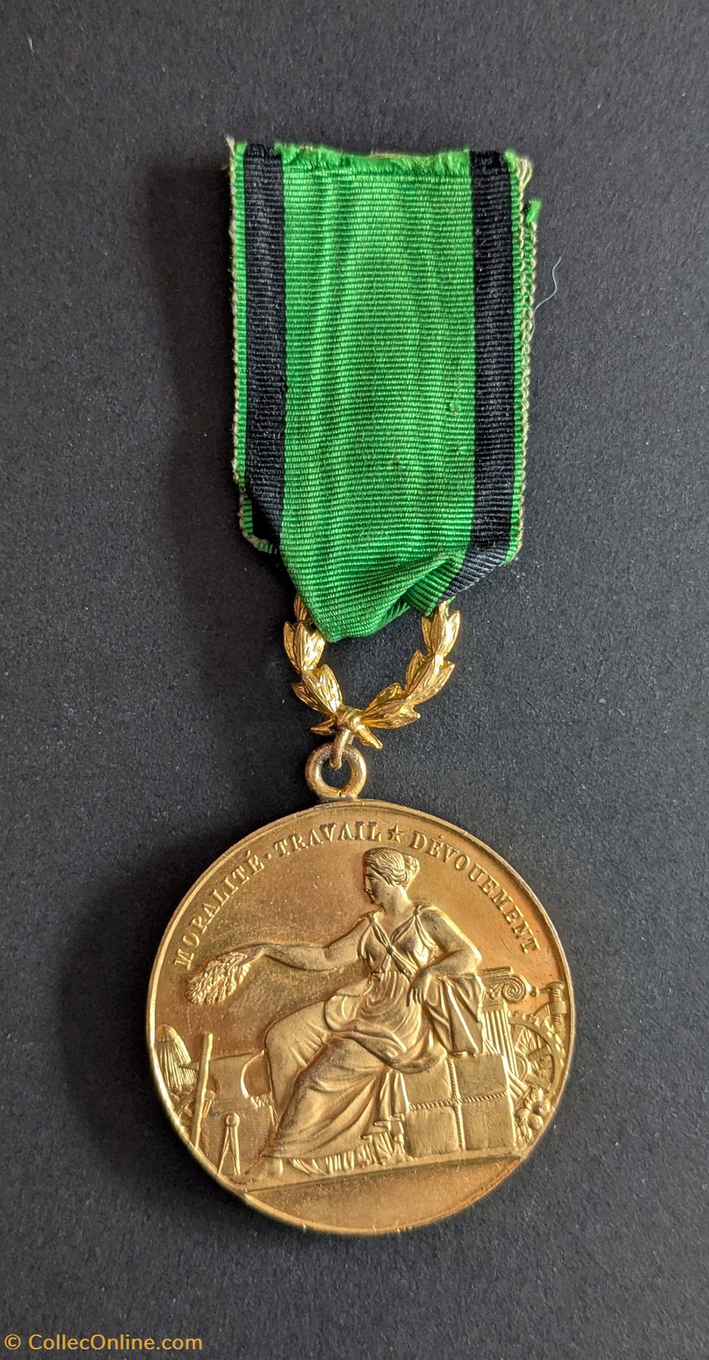 medailles sneb medaille de la societe nationale encouragement au bien