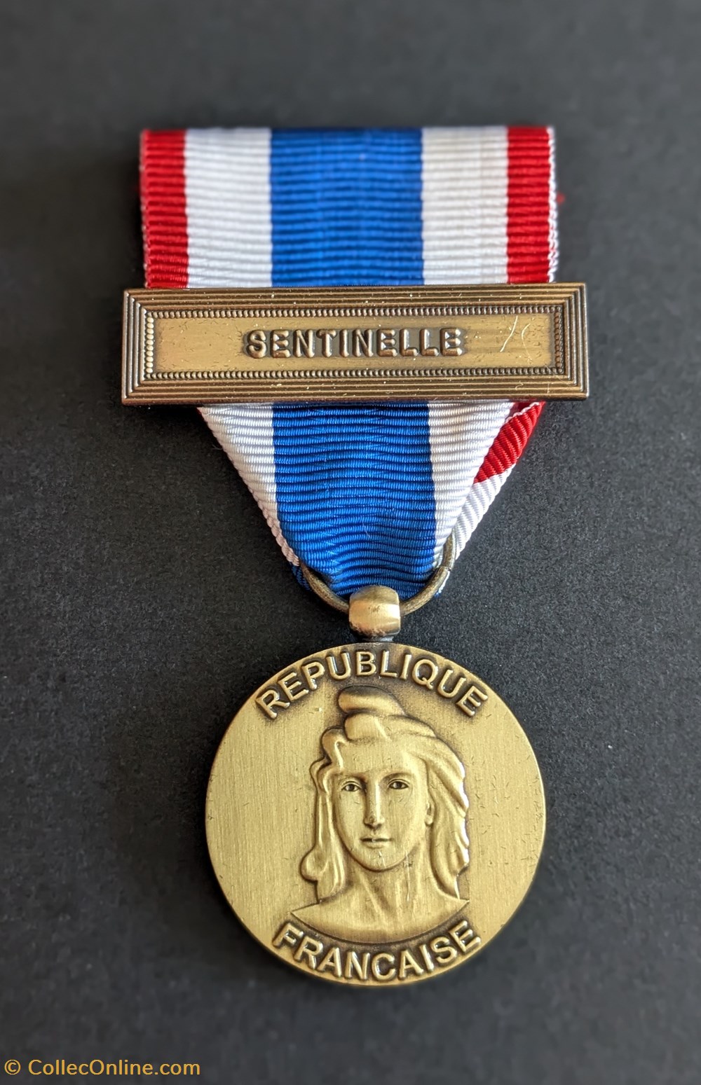 medailles medaille de la protection militaire du territoire sentinelle