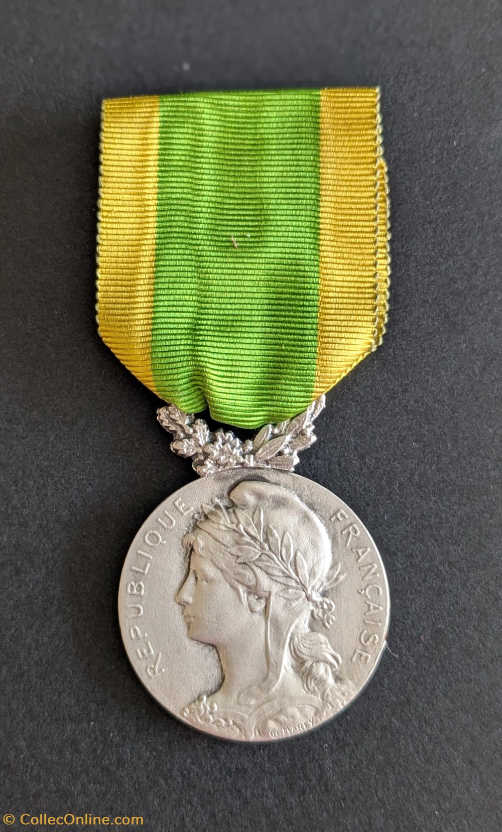medailles medaille de la societe des sauveteurs de la seine