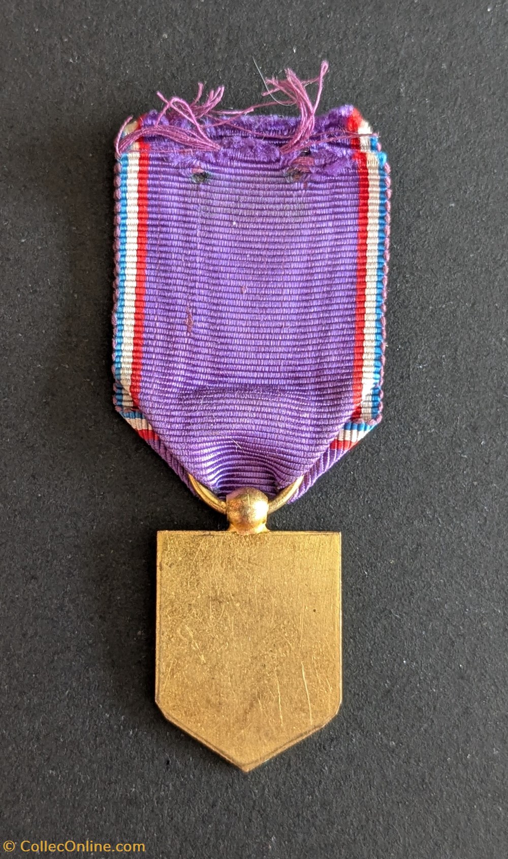 Médaille de l'Union des Amicales Laïques du Nord medailles medaille de union des amicales laiques du nord