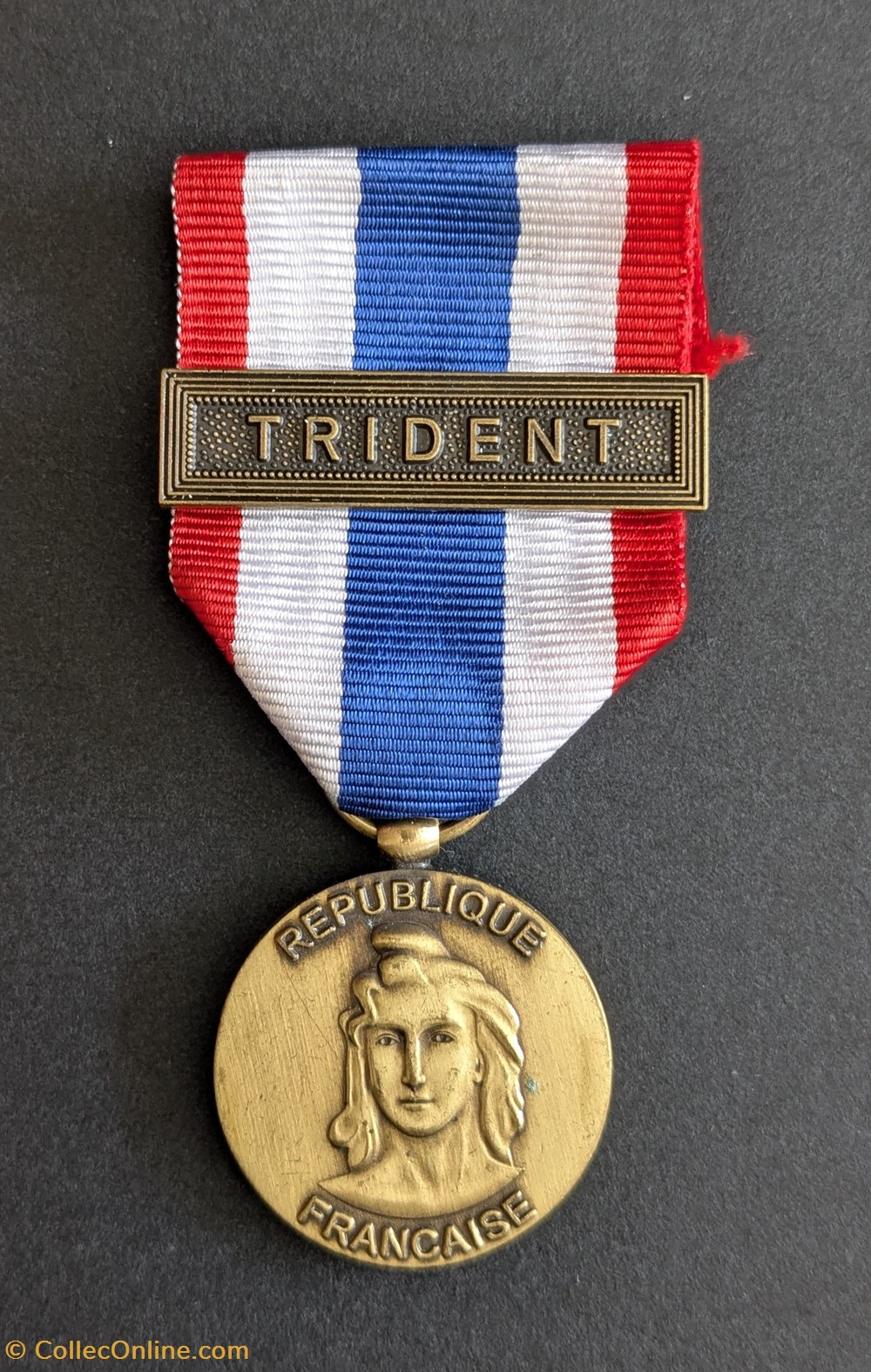 medailles france medaille de la protection militaire du territoire trident