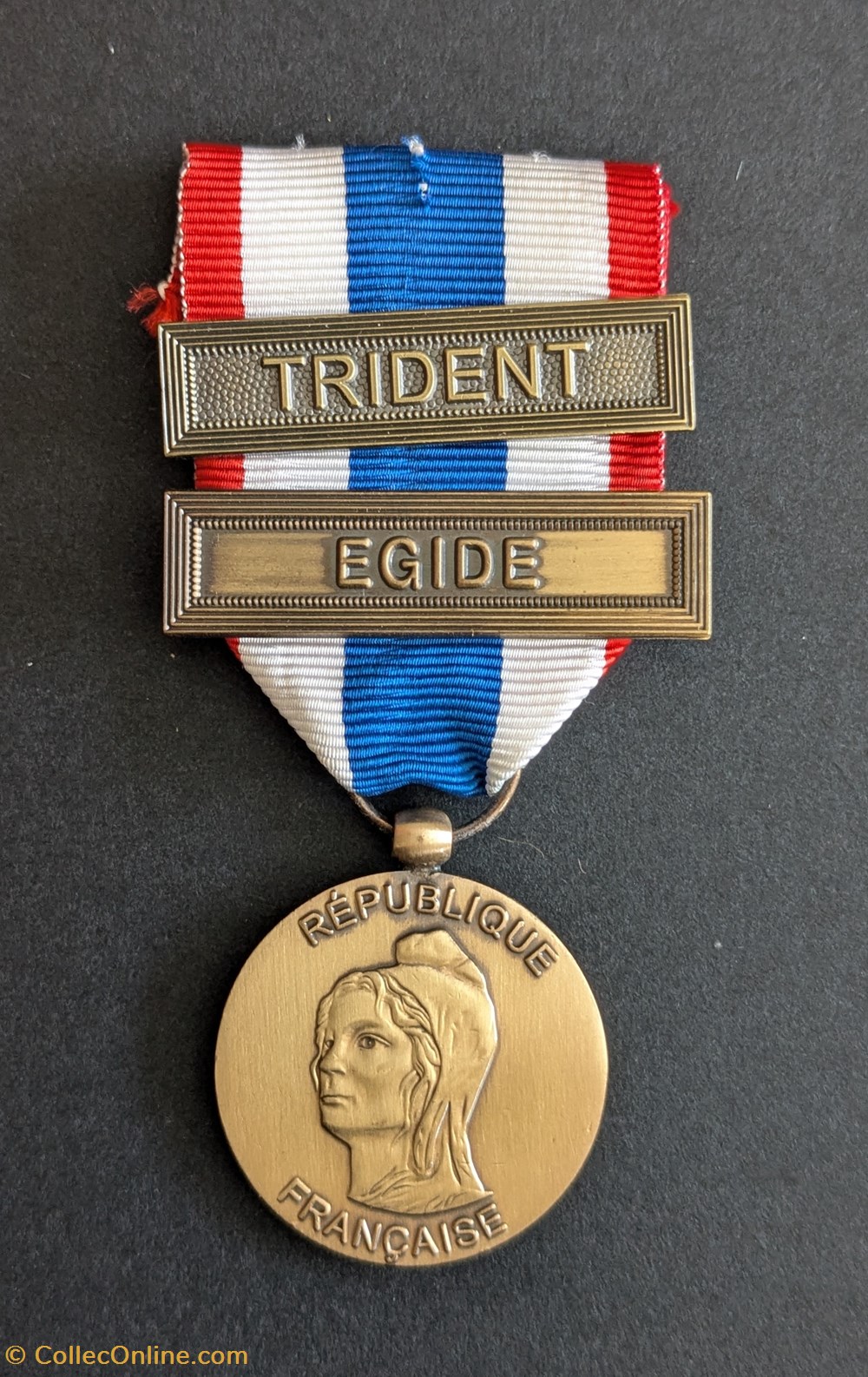 Médaille de la Protection Militaire du Territoire - TRIDENT - EGIDE medailles medaille de la protection militaire du territoire trident egide