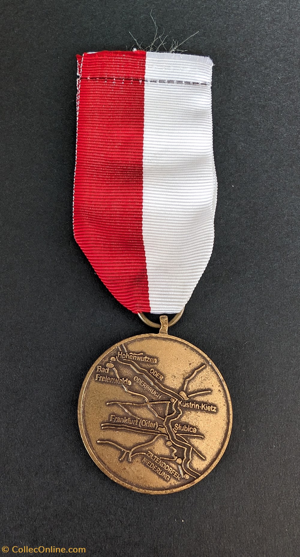 Médaille des inondations de l'État de Brandebourg medailles allemagne medaille des inondations de etat de brandebourg