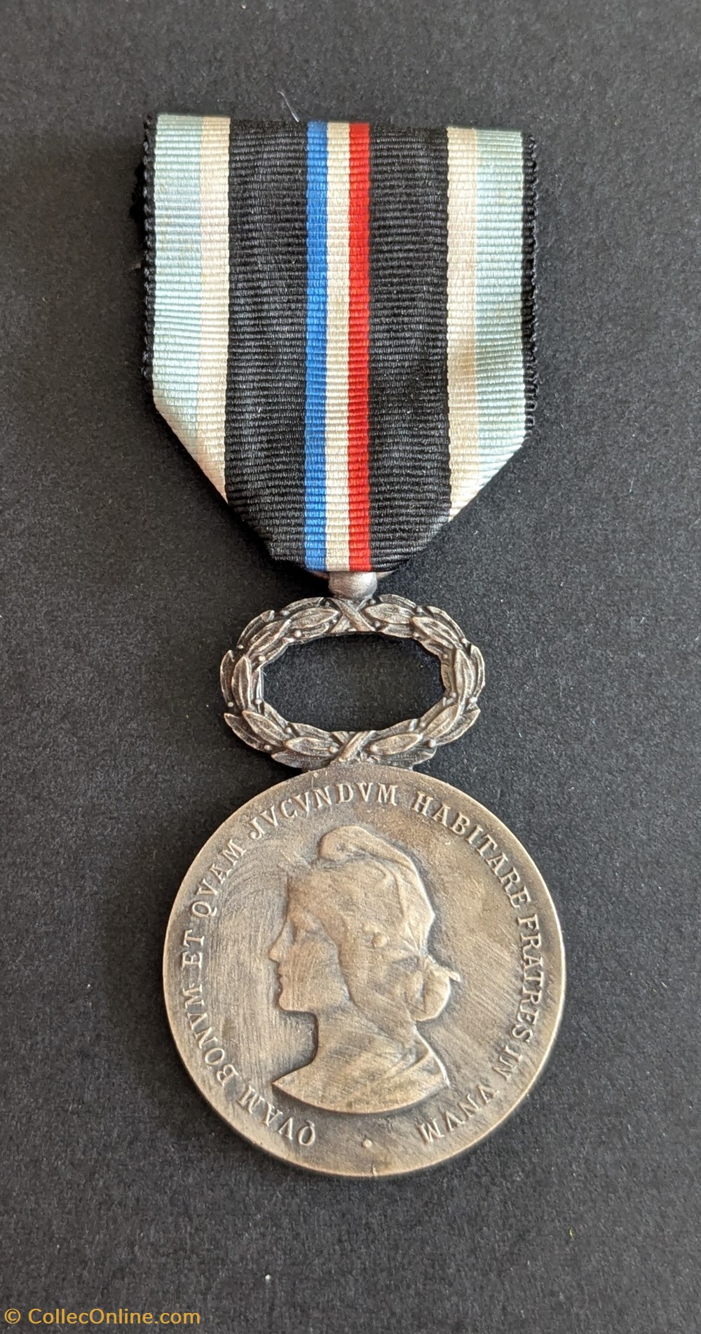 medailles france medaille de l union departementale des societes de secours mutuels du nord