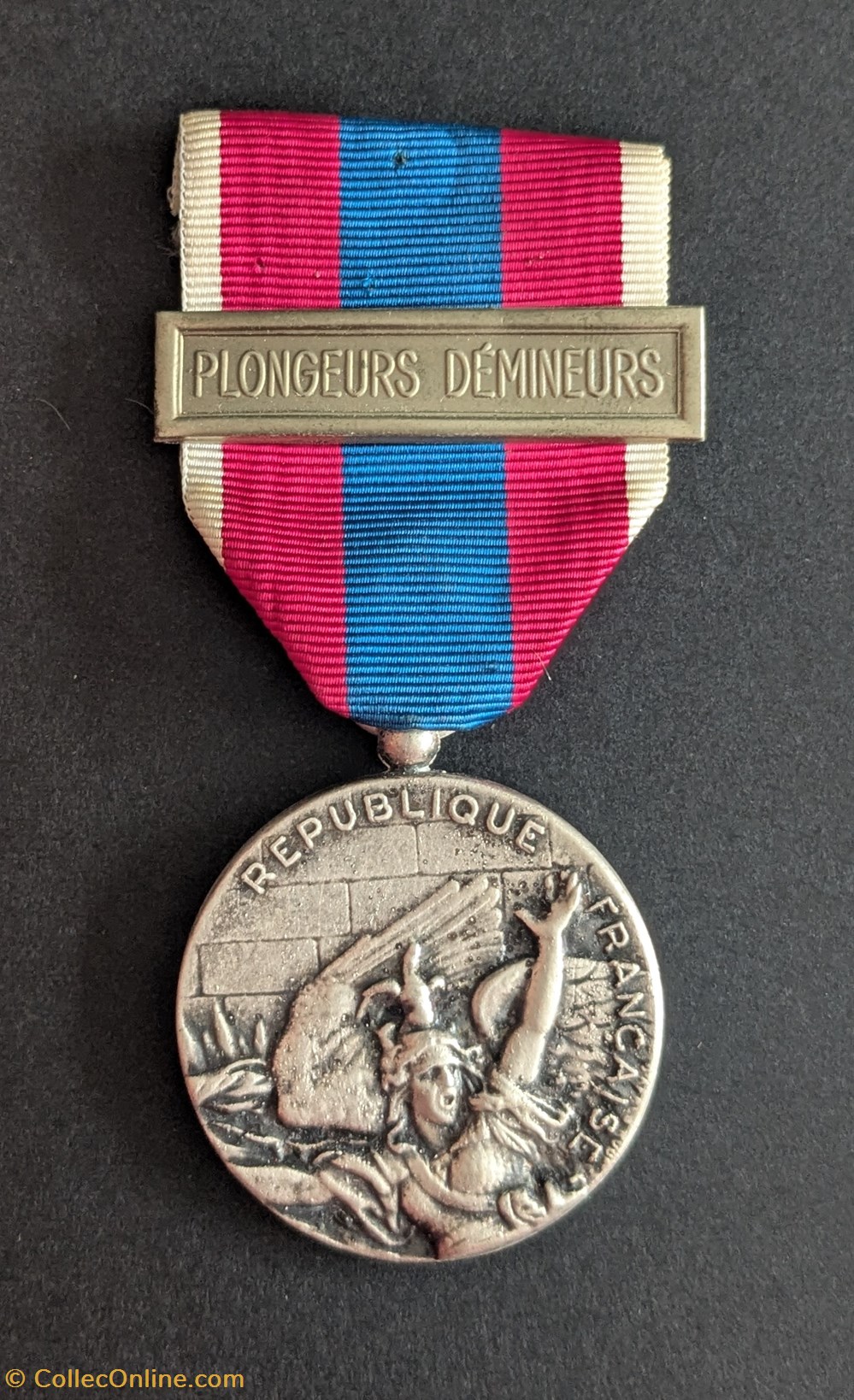 medailles france plongeurs demineurs