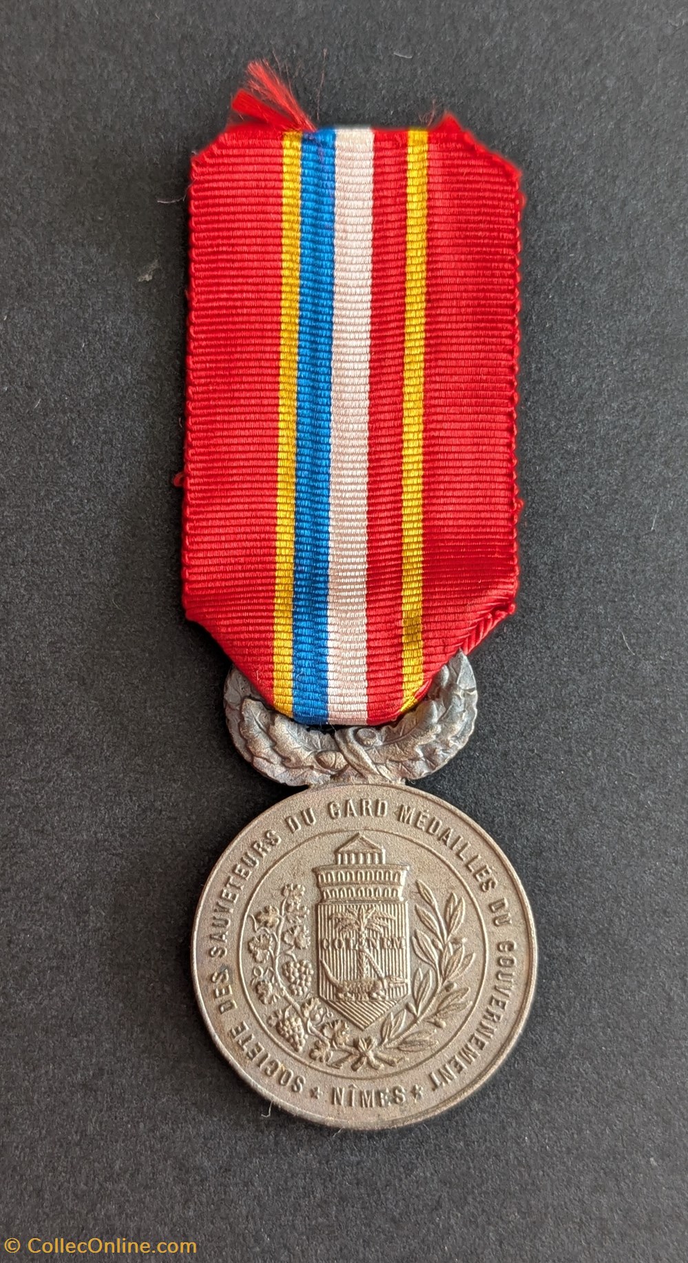 Médaille de la société des sauveteurs du Gard médaillés du gouvernement medaille de la societe des sauveteurs du gard medailles du gouvernement