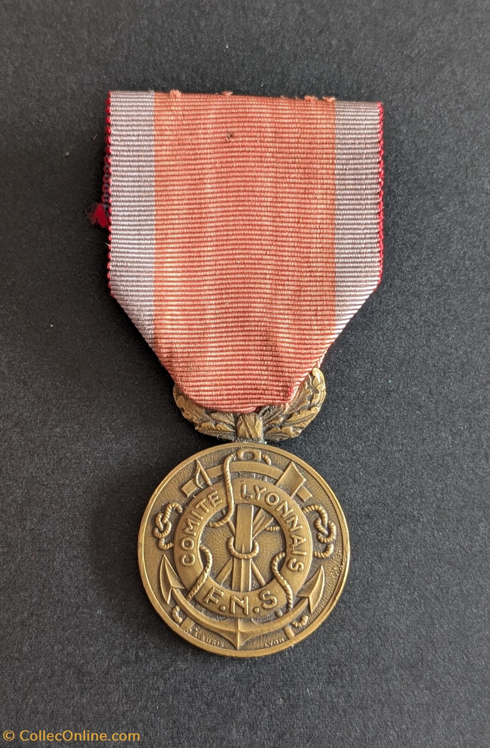 medailles medaille honneur du comite lyonnais de la federation nationale de sauvetage