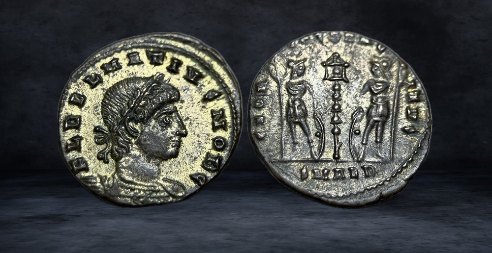 DALMATIUS (caesar, 335-337) coins ancient to romans imperial and republican dalmatius caesar 335 337