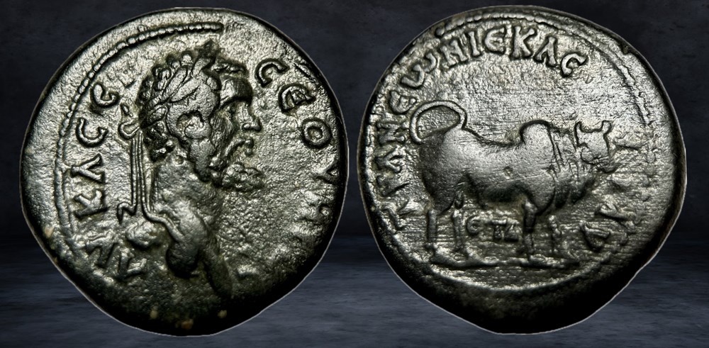 coins ancient to romans provincial septimius severus 193 211