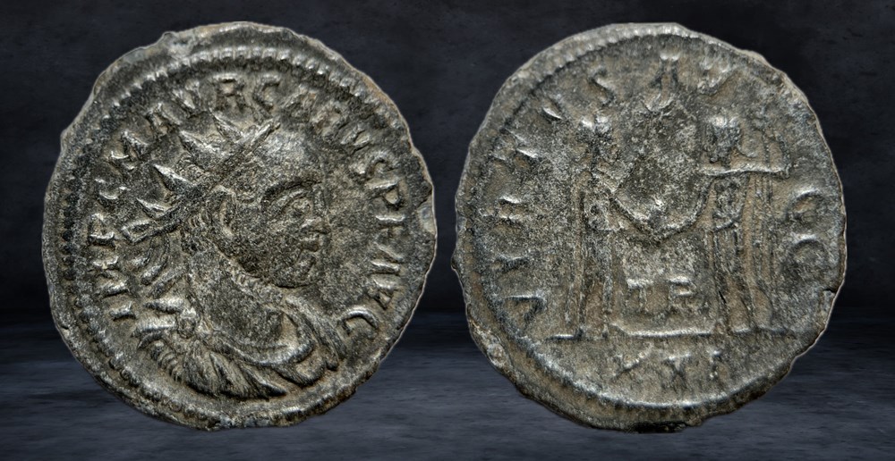 CARUS (282-283) coins ancient to romans imperial and republican carus 282 283