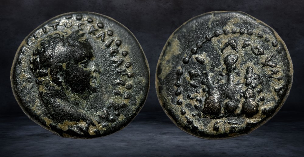 TITUS (79-81) coins ancient to romans provincial titus 79 81