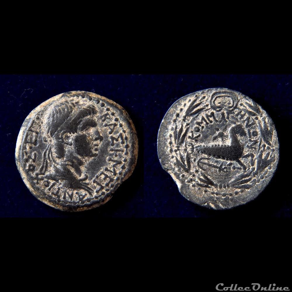 Commagene monnaie antique grecque commagene