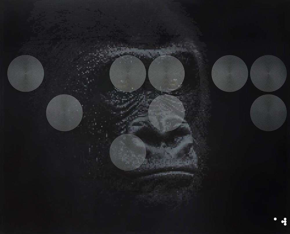 kong