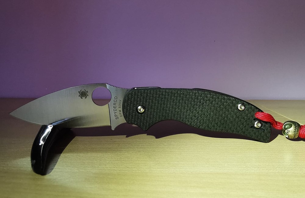 couteaux poches spyderco sage 5 c123cfcl