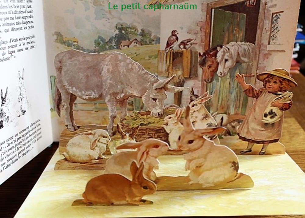 Livre Pop-Up - Animaux amis - Edition Nathan 1980 5 livres bd revues livre pop up animaux amis edition nathan 1980
