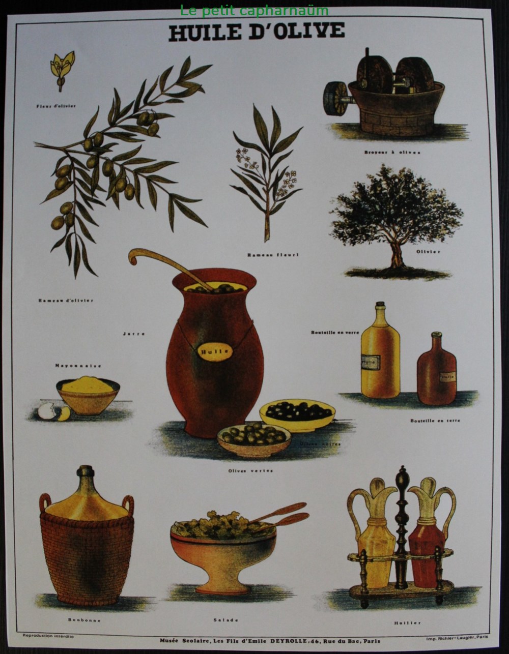 Planche Documentation scolaire - Huile d'olive - "Les fils d'Emile Deyrolle" documents anciens chromos images planche documentation scolaire huile olive les fils emile deyrolle