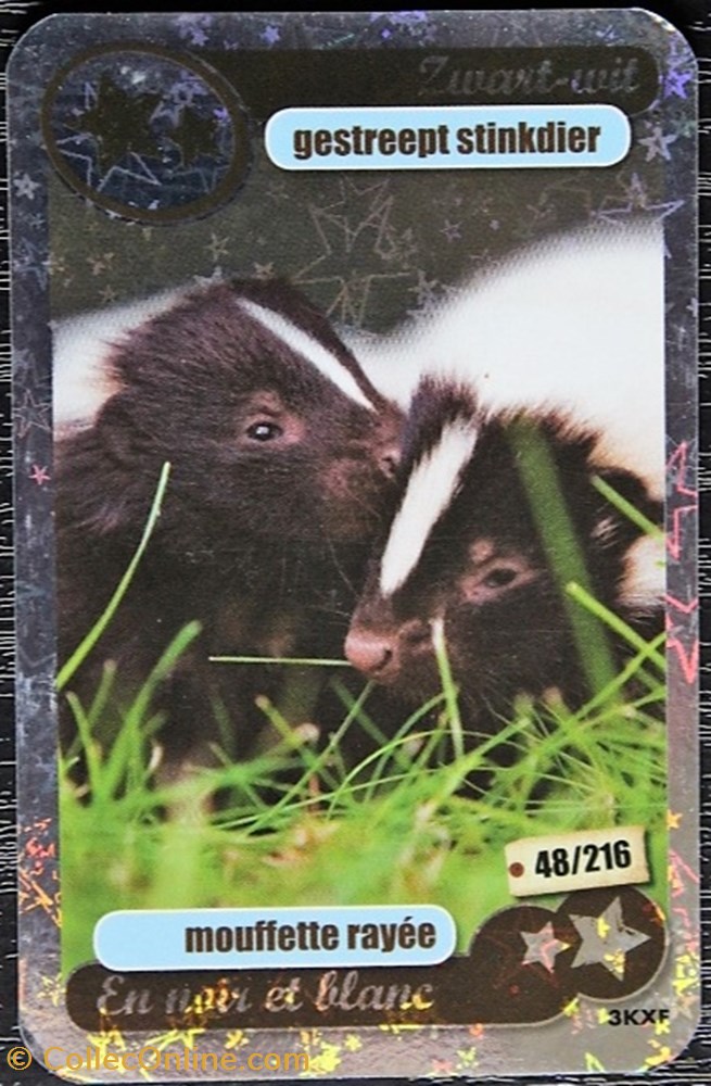 TCG Les héros de notre planète - 048 - Mouflette rayée - Rare Brillante jeux jouet jeu carte collectionner tcg les heros de notre planete 048 mouflette rayee rare brillante