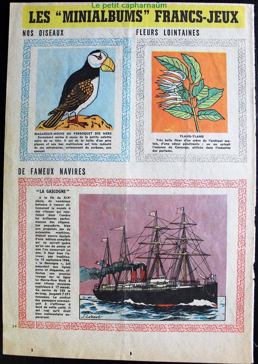 Mini-albums Francs Jeux - Planches Oiseaux / Fleurs lointaines / Fameux navires - Série 1 3 documents anciens chromos images mini albums francs jeux planches oiseaux fleurs lointaines fameux navires serie 1