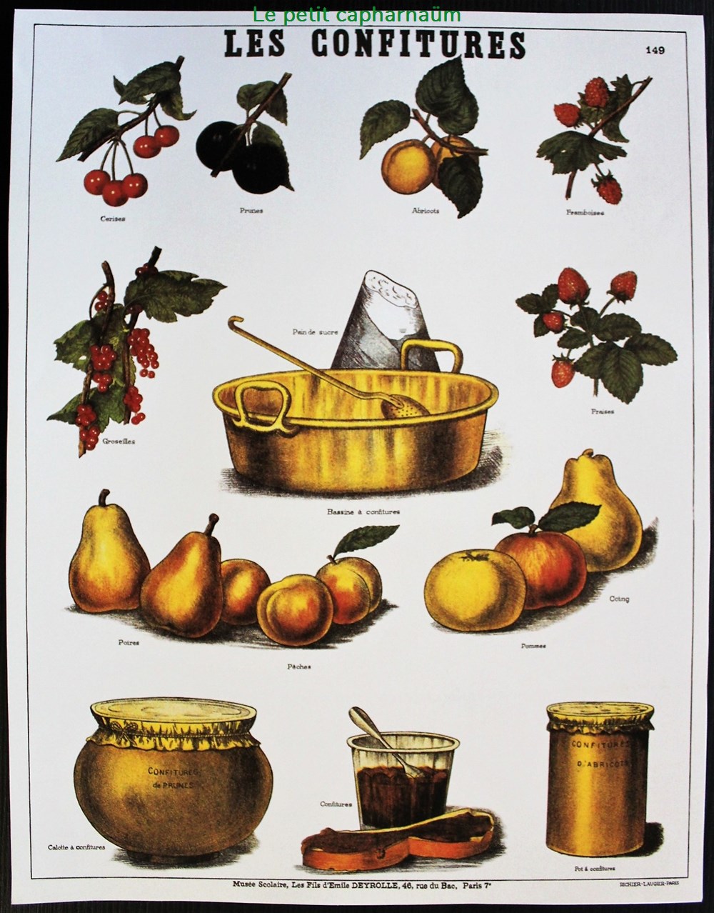 Planche Documentation scolaire - Les confitures - "Les fils d'Emile Deyrolle" documents anciens chromos images planche documentation scolaire les confitures les fils emile deyrolle