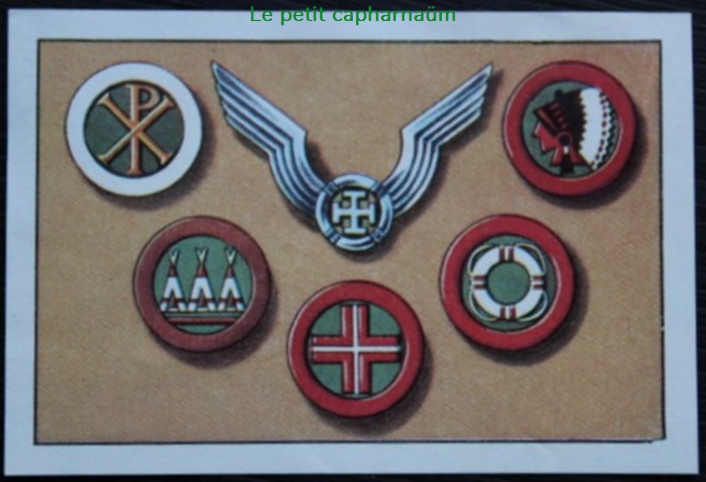 Image / Chromo - La vie fière et joyeuse des scouts - VII-08 - Insigne de raider et badges documents anciens chromos images alimentaires image chromo la vie fiere et joyeuse des scouts vii 08 insigne de raider et badges