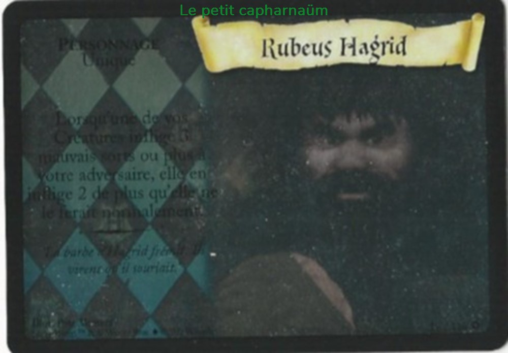 TCG Harry Potter - Set de base - 018 - Rubeus Hagrid - Rare Holographique jeux societe jouets jeu carte collectionner tcg harry potter set de base 018 rubeus hagrid rare holographique